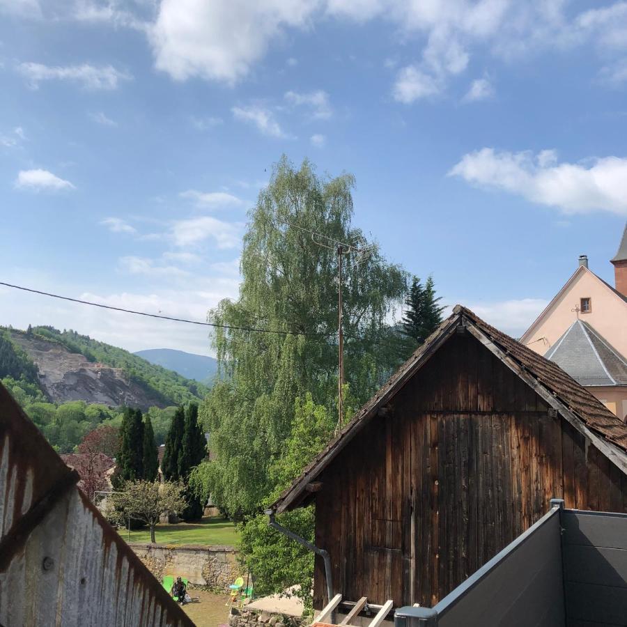 Appartement Vintage A L Ancienne Forge Мюльбах-сюр-Мюнстер Экстерьер фото