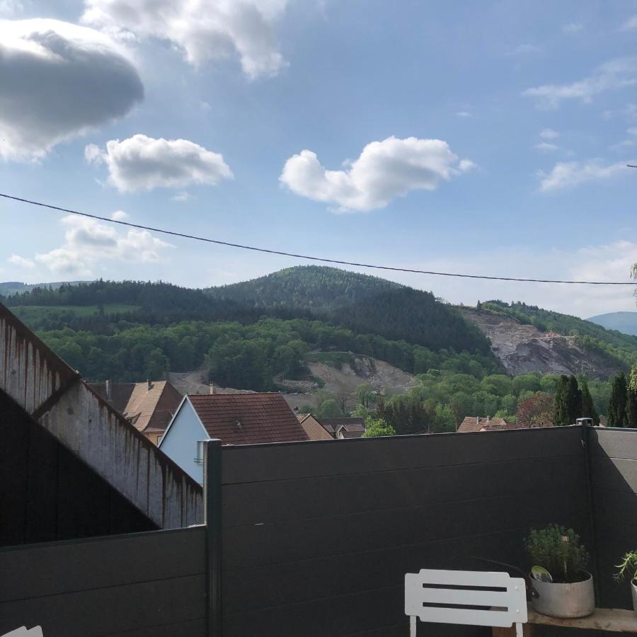 Appartement Vintage A L Ancienne Forge Мюльбах-сюр-Мюнстер Экстерьер фото