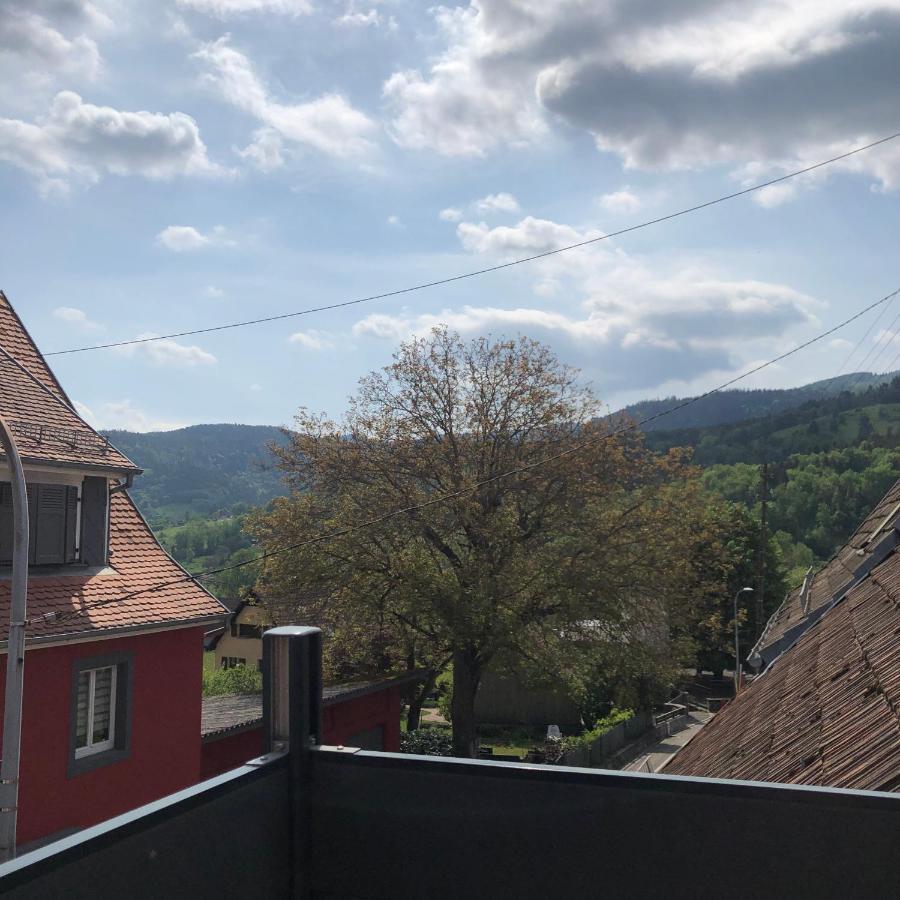 Appartement Vintage A L Ancienne Forge Мюльбах-сюр-Мюнстер Экстерьер фото